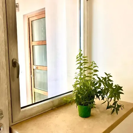 Terrazza Sul Mare - Palinuro Апартаменты *